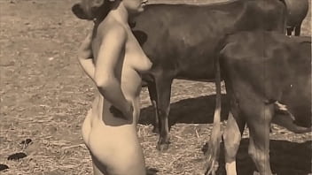 Vintage porn video featuring natural tits and hairy pussy